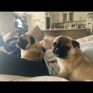 Meet your Posher, Kellie